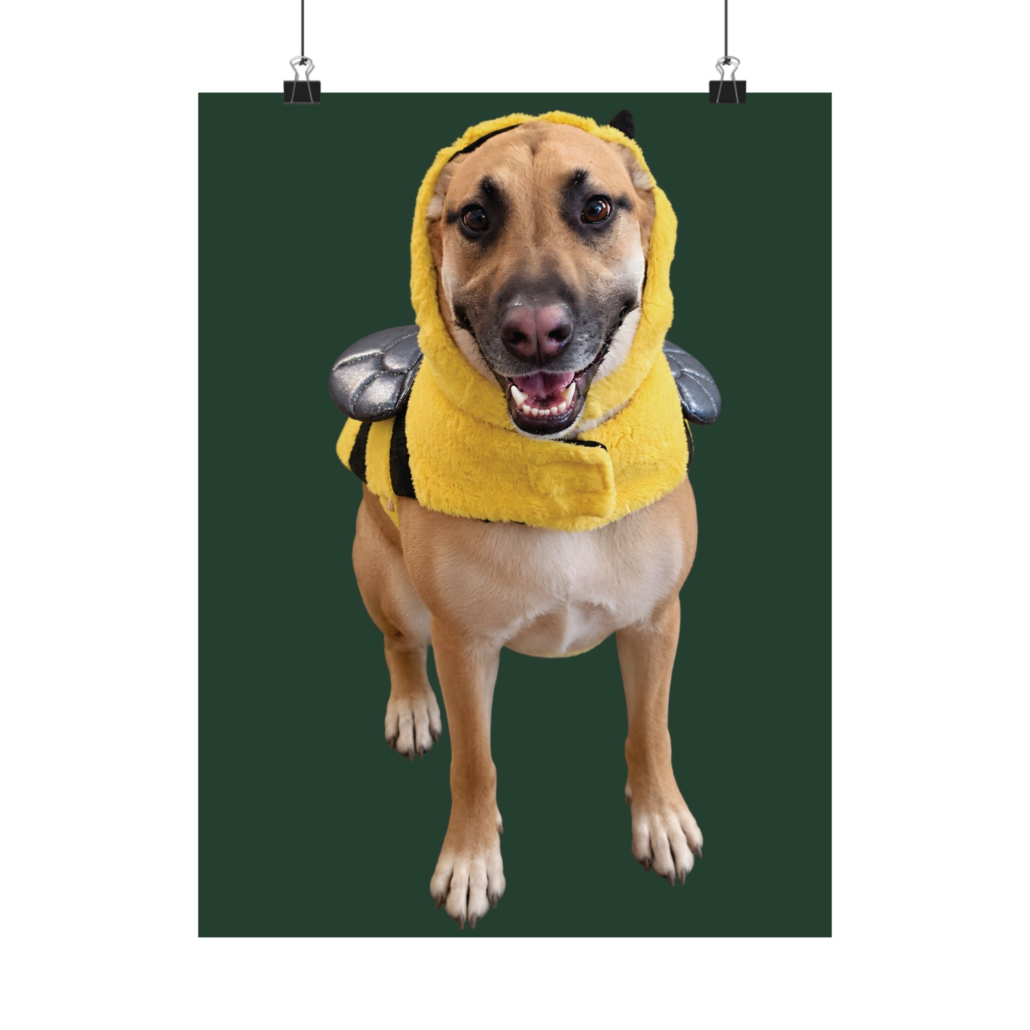 A matte portrait print showing the complete original Lulu in her yellow bee costume
