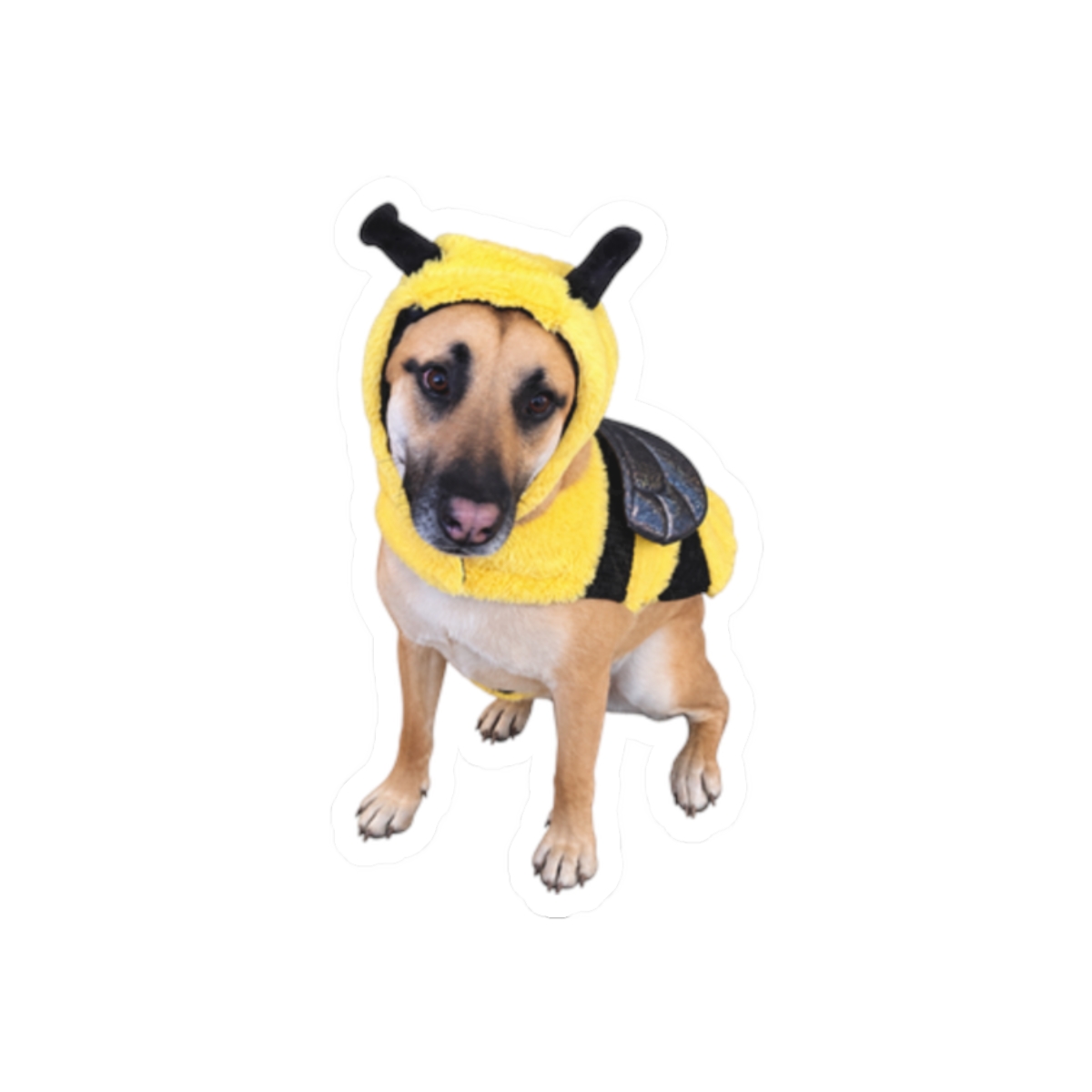 Lulu B white vinyl sticker showing the full real photograph of Lulu in her bee costume